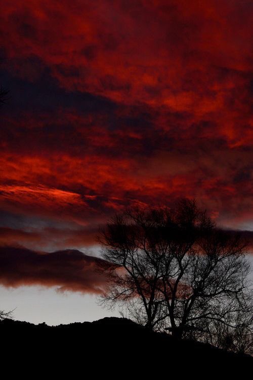 skiessluke's tweet image. 