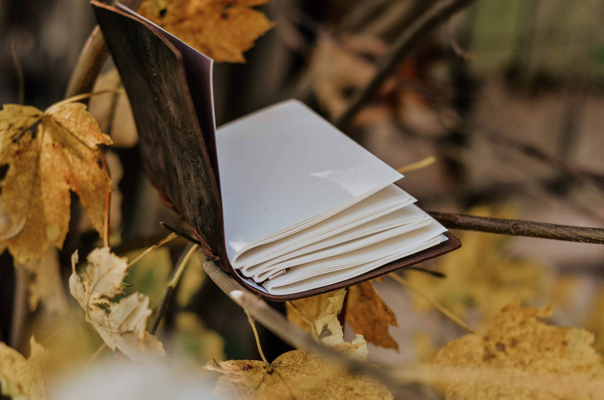 VintagePasseng's tweet photo. November 🍁 with our Leather Journal. Take yours now: https://t.co/rops5fyQLC #PHOTOGRAPHY #booklover #november #fall #falldecor ll#inspiration #travelernotebook #travelers #traveling #travel #inspo #photooftheday #love #amazon #bulletjournal #onlineshopping #quotes #instalike https://t.co/sILnuduqs7