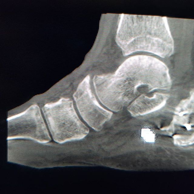 Dr Manel Ballester tweet media