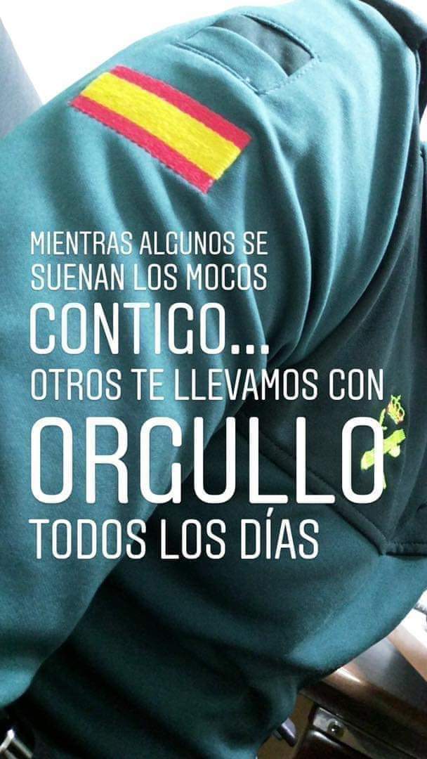 Isabel.E 🇪🇸 💚 tweet media