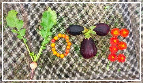 🌿Green Gate Farms Fall CSA: Week 7A🌿 - mailchi.mp/greengatefarms…