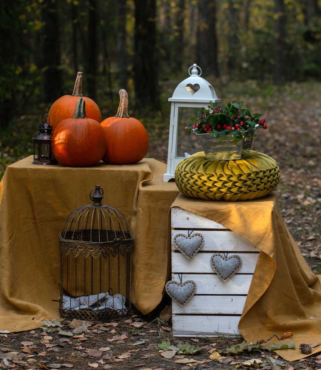 Autumn.. the year`s last, loveliest smile (William Cullen Bryant)🍁
Grey felt hearts: <a href="/MouseInAction/">Mouse In Action</a>
Mustard pillow: <a href="/MellowFolds/">Mellow folds</a>
Linen tablecloth: <a href="/EpicLinen/">EpicLinen</a>
Cages: Švenčių virtuvė
Photo - Ąžuolaitytė photography
#autumn #fall #stockingfillers #homedecor #mouseinaction #heart