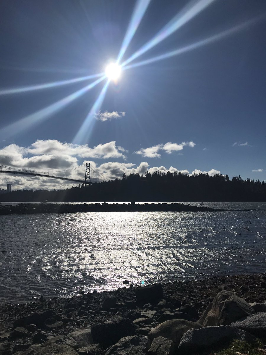 CliffMander's tweet image. Walking the dog never looked so good... Thanks Vancouver #dogatwork #businessandpleasure #getoutside #yvr