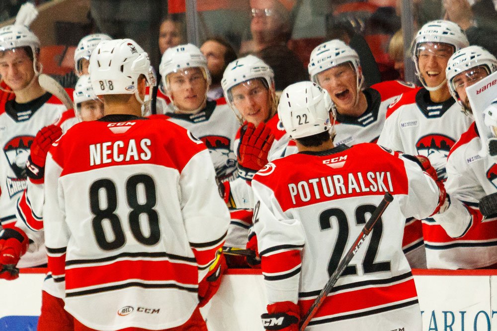 Charlotte Checkers tweet media