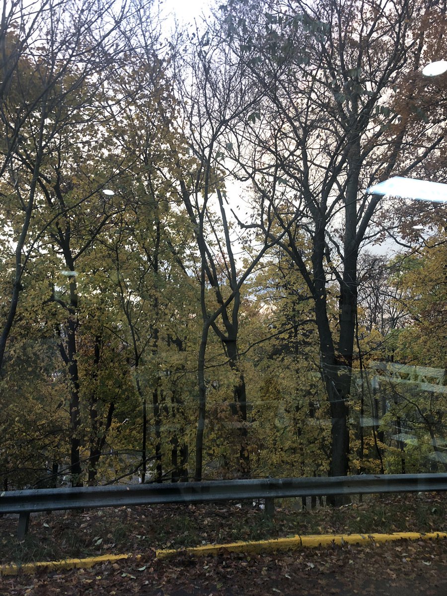 IsabelDeWalt's tweet photo. Enjoying the beautiful orange leafs while it lasts! #ees152 https://t.co/h8oRDQXWrY
