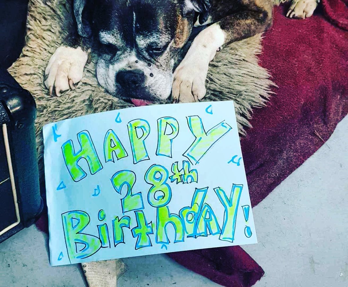 IT'S OUR BIRTHDAY DAY🎉 a big thank to all our creative genius for supporting Zen throughout the years