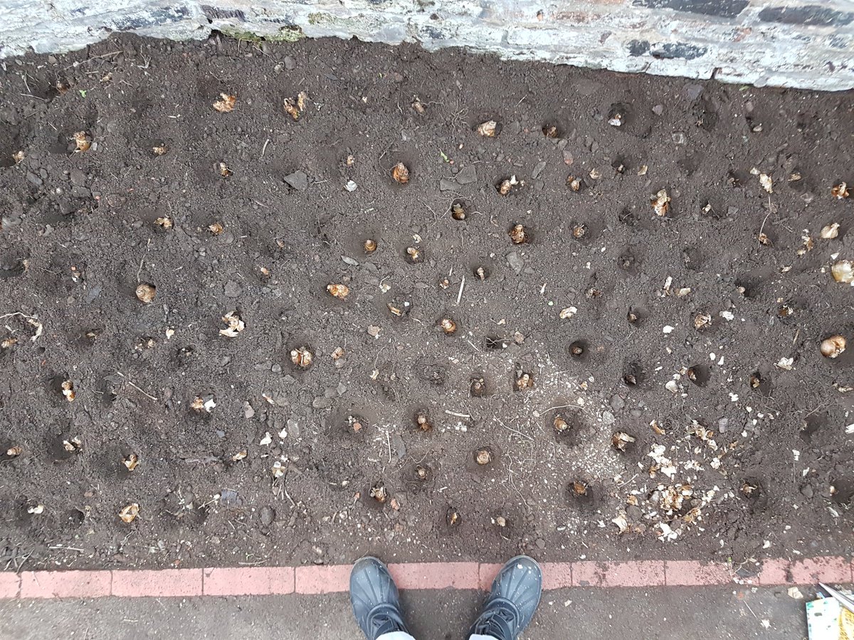 Bulb planting on the canal today. Great work team <a href="/CRTWestMidlands/">Canal & River Trust West Midlands</a> <a href="/JQNF/">JQNF</a> <a href="/MyJQ/">My Jewellery Quarter</a>