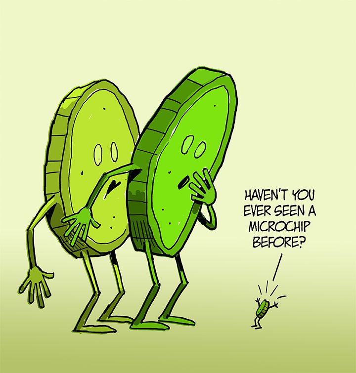 bubbiespickles's tweet image. There are chips and then there are chips!  #picklehumor #picklejokes #jokes #funny