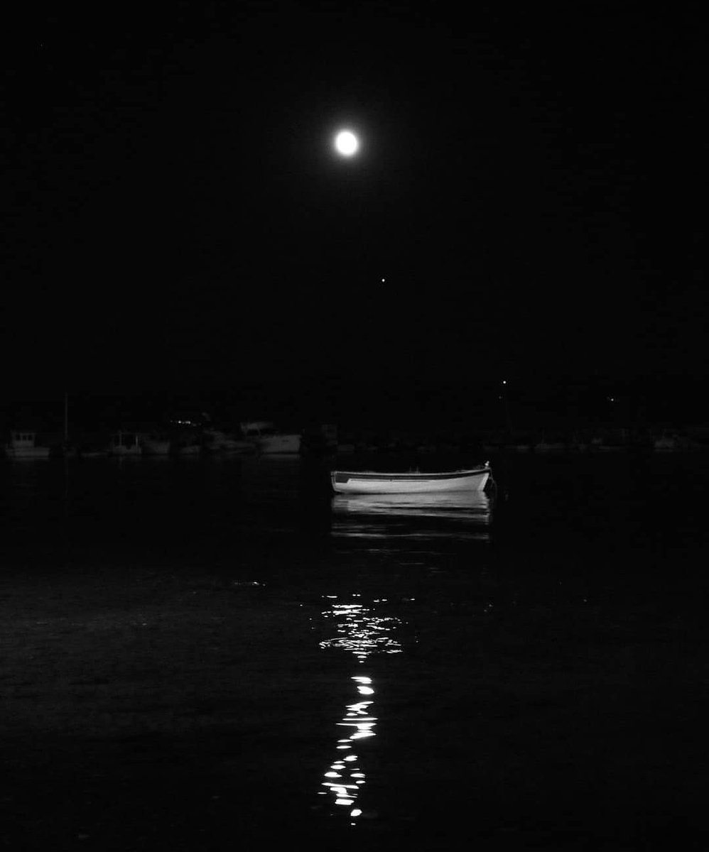 Kaçsan nereye kaçacaksın kendinden,
Ayışığı belli, deniz belli, akşam belli..
Sanma ki avutur bu görüntüler seni,
Doğuş belli, yaşam belli, ölüm belli..