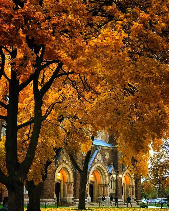 JessieBGussack's tweet photo. You walk by a place a thousand (and one) times until you get that perfect perspective... tonight was that night... #amberlighting #pefectperspective #theperfectview #doors #beautifuldoors #londonontario #tourismlondon #519london #stpetersbasilica #jessie… https://t.co/OjStARDW1m https://t.co/g27LM6yofY