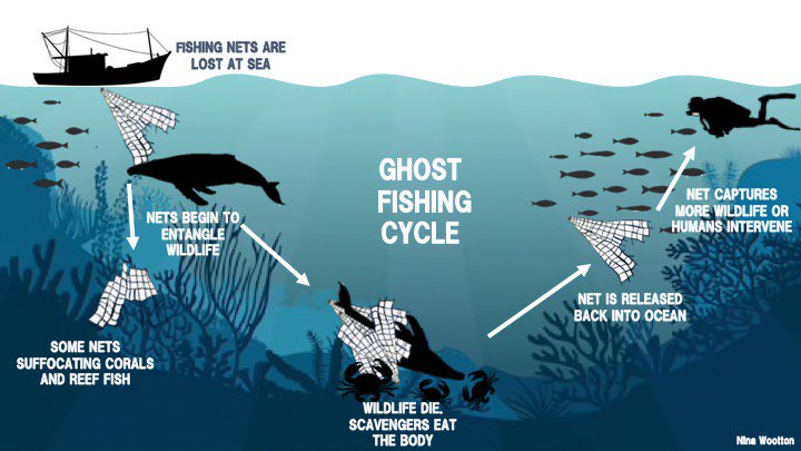 Nina Wootton on X: It's time we tide up. Ghost fishing gear is