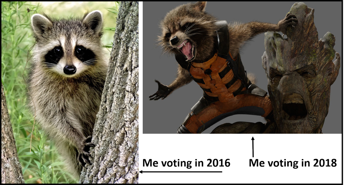 DrMay5's tweet photo. I jumped on the bandwagon and made one. #ElectionDay #ElectionDay2018 #MeVotingIn2016vs2018 #RocketRaccon https://t.co/hMULlCfKlx
