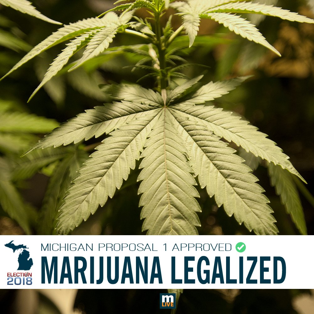 BREAKING: Michigan votes to (puff puff) pass legal recreational marijuana