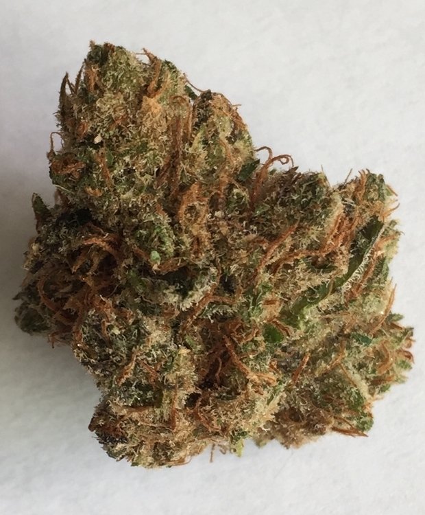 willaim_mark's tweet image. top quality marijuana #cali buds delivery is worldwide and payment is accepted through BITCOINS WhatsApp +1(347)8154765
Wickr&amp;gt;&amp;gt;&amp;gt;&amp;gt;:dxlucystunner @TheGreenDailyy @stonerhodes_ @GenoDiCarlo @DFB_Team_EN @timesofindia @TexasTribune @Irelandcricket @DiscoverIreland