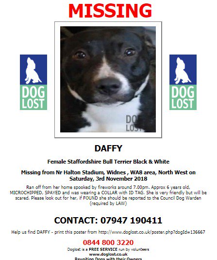 DogLostUK's tweet photo. #LOST #DOG DAFFY
Frightened by #Fireworks
Female #StaffordshireBullTerrier
#Missing from near #HaltonStadium #Widnes #WA8
Saturday, 3rd November 2018
#LostDog #ScanMe @VetsGetScanning @SAMPAuk_
https://t.co/PQdYjhZ3Ca https://t.co/vl3uu1inqT