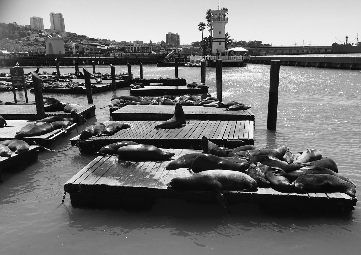 Day 5/7 #mylifeinblackandwhite 🚫 explanation, 🚫 people