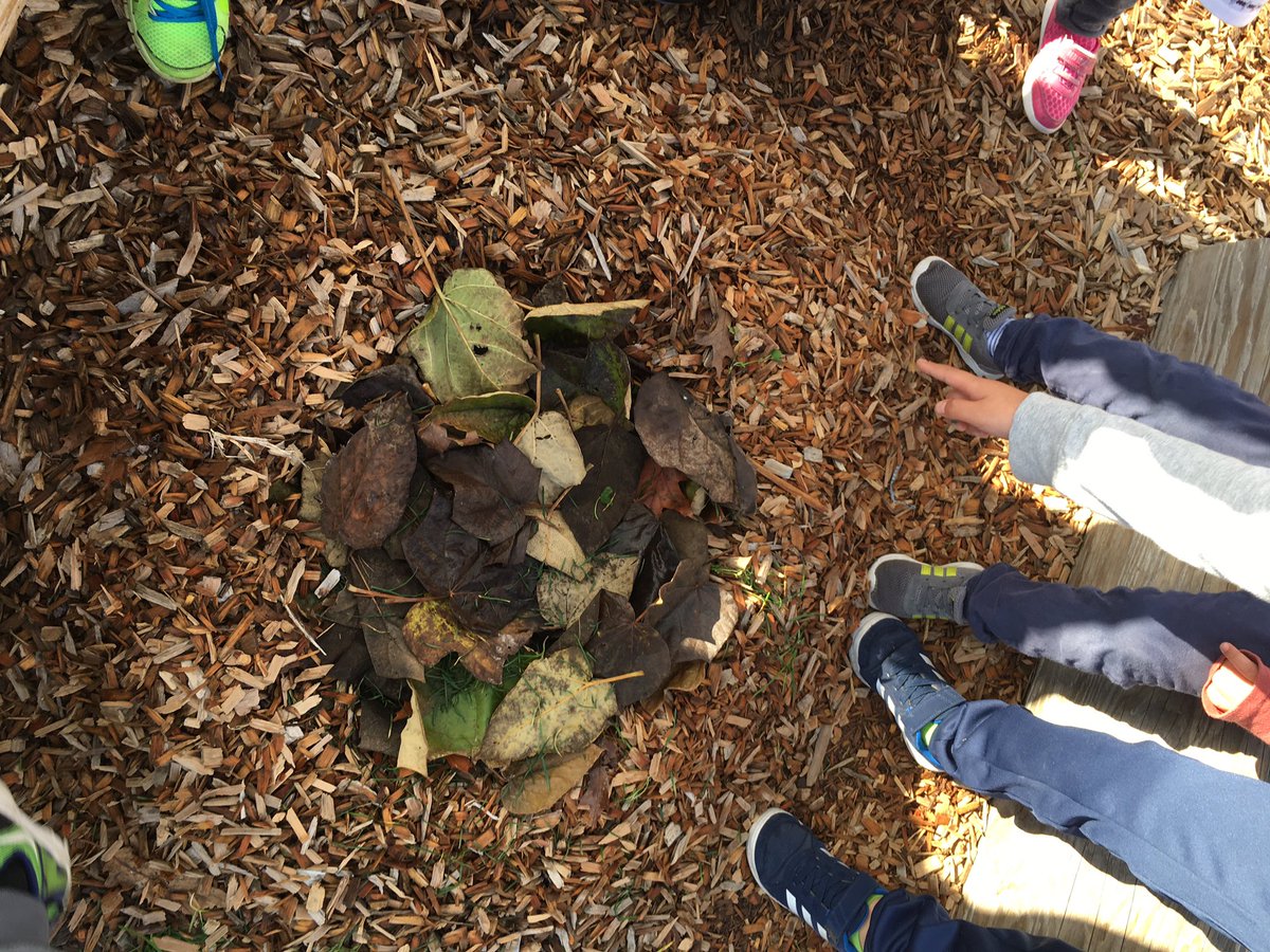 Ms Yager. she/her tweet media