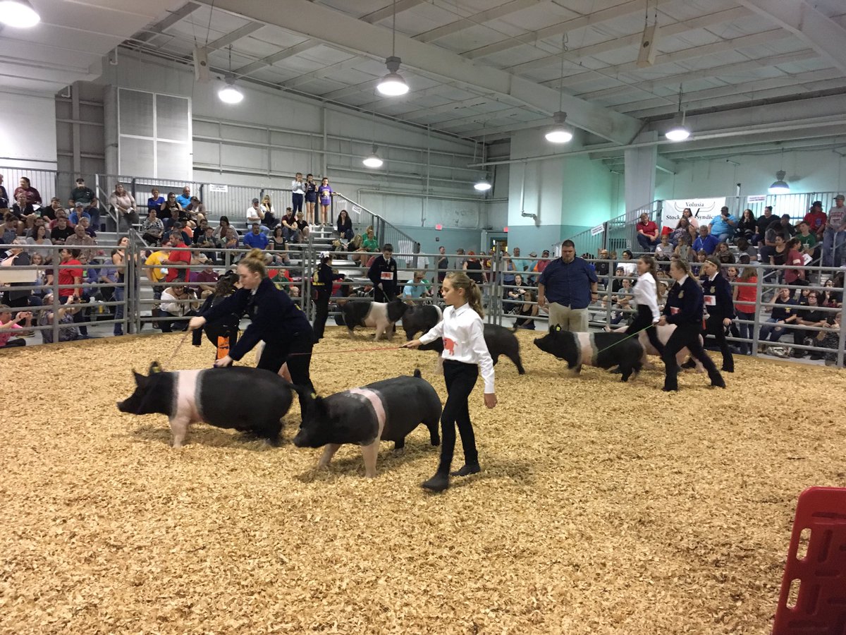 Division 3 third class in the ring now!