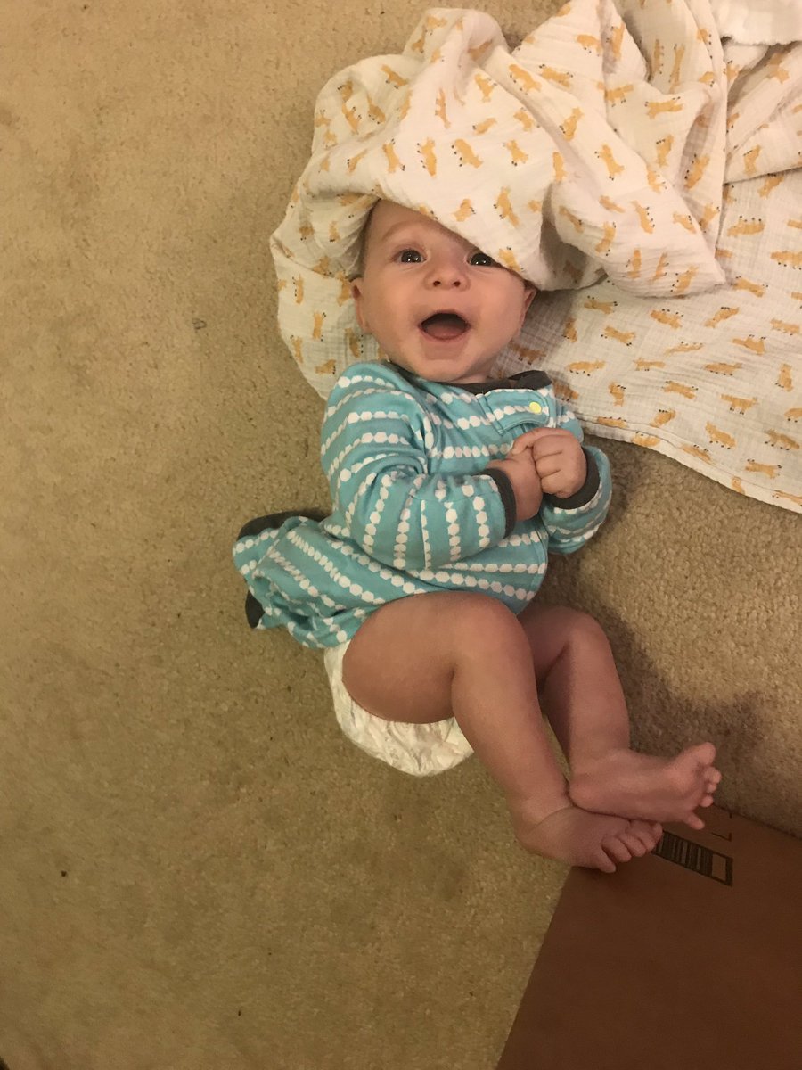 AshleighCook12's tweet photo. 😍 https://t.co/PdlgvT9Enw