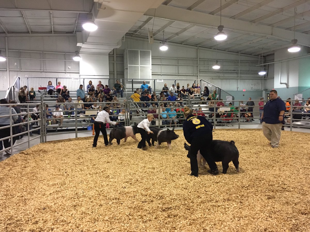 Division 3 final round to see who is the champion!  Good luck!