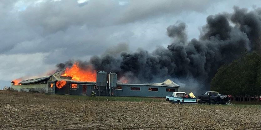 UPDATE: 250 goats perish in barn fire southeast of Mount Forest this afternoon southwesternontario.ca/news-story/901… https://t.co/cq4Gbie43F