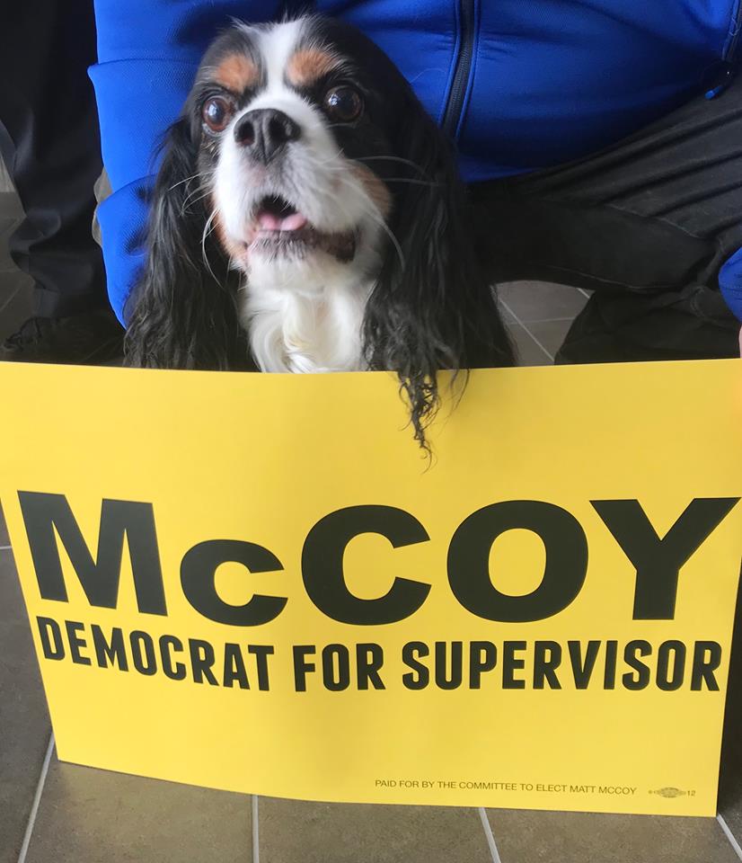 mattmccoyia's tweet photo. Cylde is casting his bark for Matt - so should you. #McCoyForSupervisor. Bold - Progressive - Results (polls close at 9pm) https://t.co/Q8AK8TCXHE