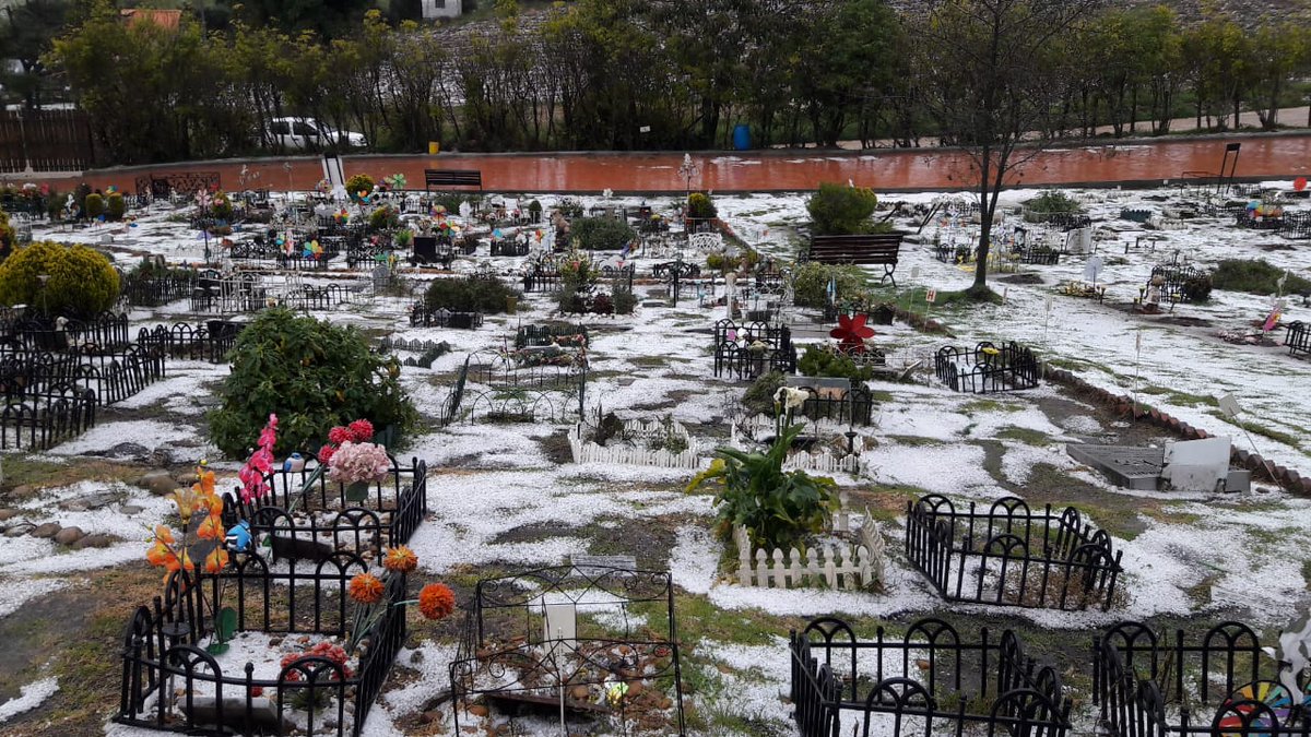 funeravet's tweet photo. Llego la navidad al cementerio de mascotas en la Calera https://t.co/MRZtBgf0Gs