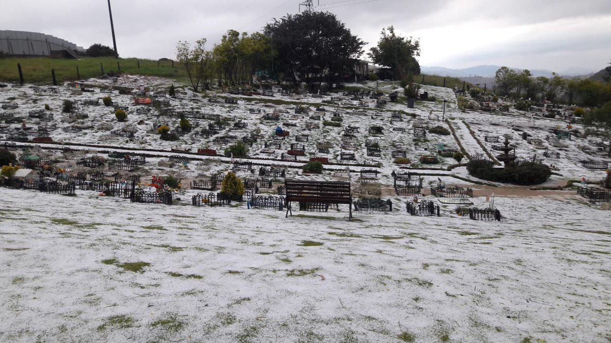 funeravet's tweet photo. Llego la navidad al cementerio de mascotas en la Calera https://t.co/MRZtBgf0Gs