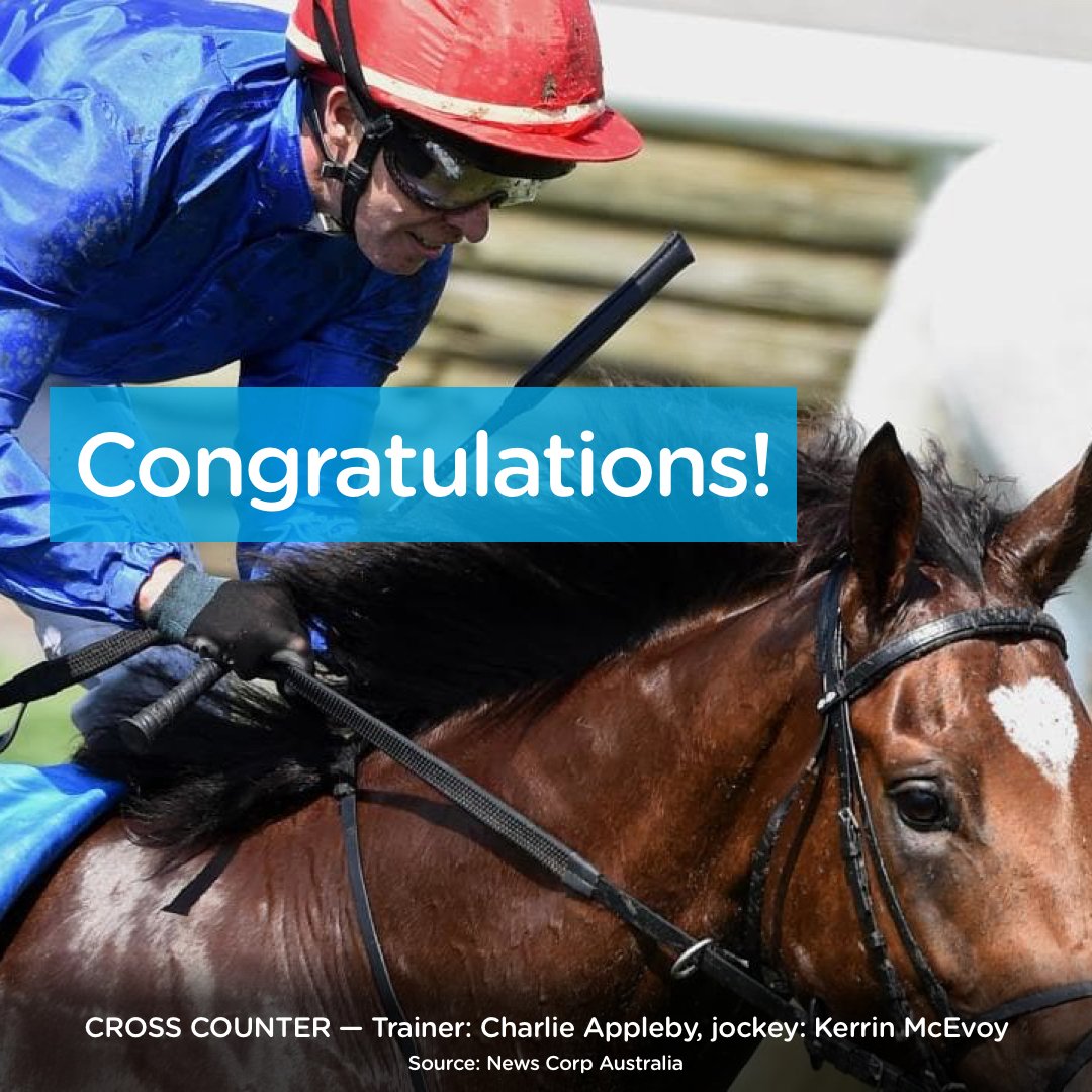 Cross Counter is lucky it wasn't a race of deliveries or else we would've won the cup! Congratulations Cross Counter for Winning the Melbourne Cup. 
#melbournecup #courier #Delivery #fast #speed #courier  #australia #sydneycourier #sydneydelivery  #zoom2uaustralia