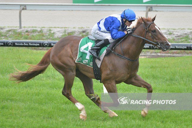 SIEGE WARFARE won at Cranbourne yesterday for trainer Robbie Laing and jockey Kevin Forrester. This son of Darley sire SEPOY, is a homebred for Gerry Harvey. Congratulations to all connections!