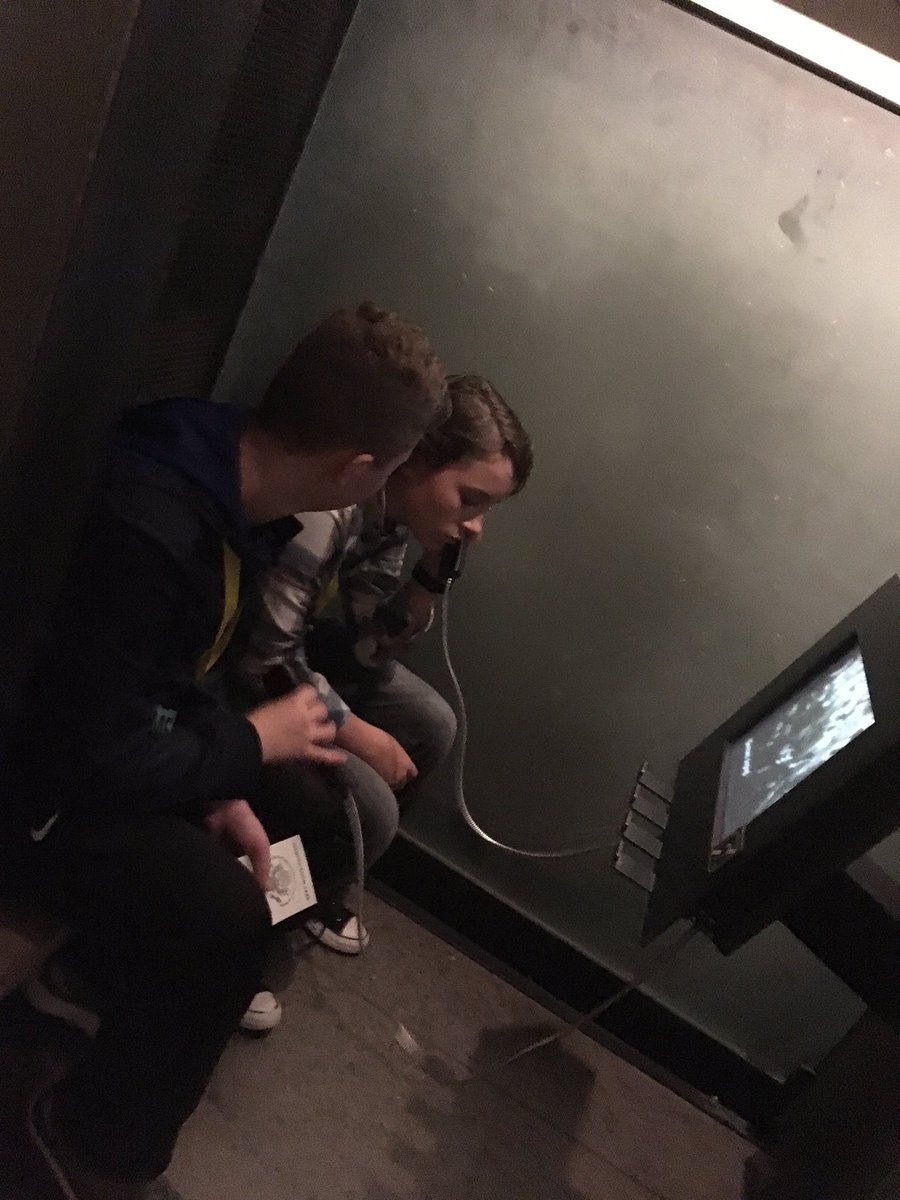 OBMS_MissLewis's tweet photo. Holocaust Memorial Museum #berkDC18 #bus6 https://t.co/T8mZKRLz9K