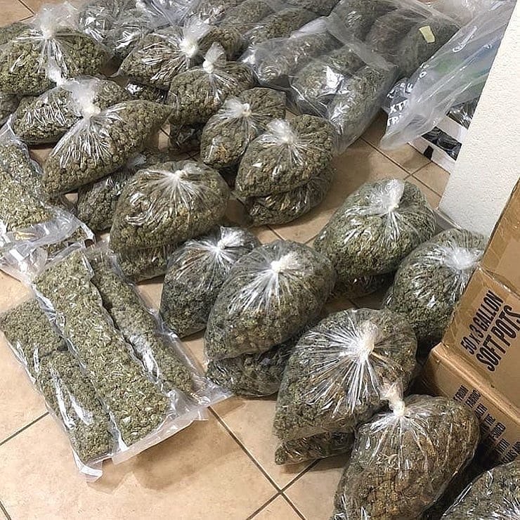 willaim_mark's tweet image. WhatsApp&amp;gt;&amp;gt;&amp;gt;+1(347)8154765 #cannabis #cannabiscommunity #high #highlife #highsociety 
Wickr&amp;gt;&amp;gt;&amp;gt;&amp;gt;:dxlucystunner #sativa #stoned #stoner #mmj #marijuana #maryjane #weedporn #thc #kush 
#cannabisculture #smoke #hemp  #indica #california #state #weedfeed #420blazeit 
#420life