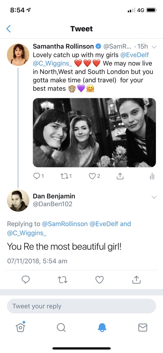 Rollo🐬🦄 tweet media