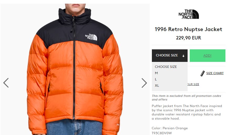 the north face 1996 persian orange