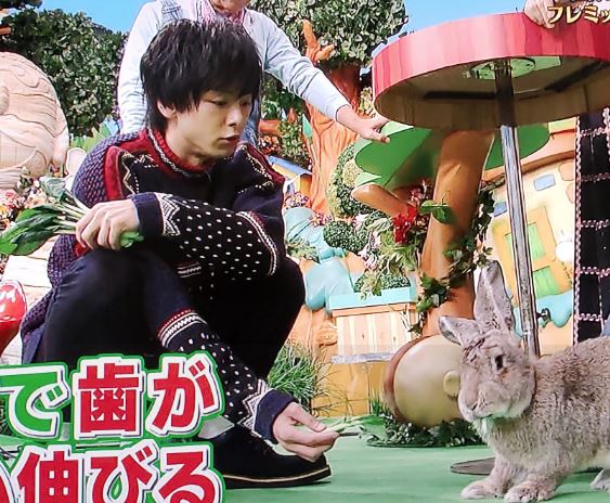 Iroquois Pr 先日放送された 志村どうぶつ園 に 中村倫也さんがニットを着用して出て頂きました 中村倫也 Iroquois 志村どうぶつ園 Iroquois Pr 先日放送された 志村どうぶつ園 に 中村倫也さんがニットを着用して出て頂きました 中村倫也 Iroquois 志村どうぶつ園