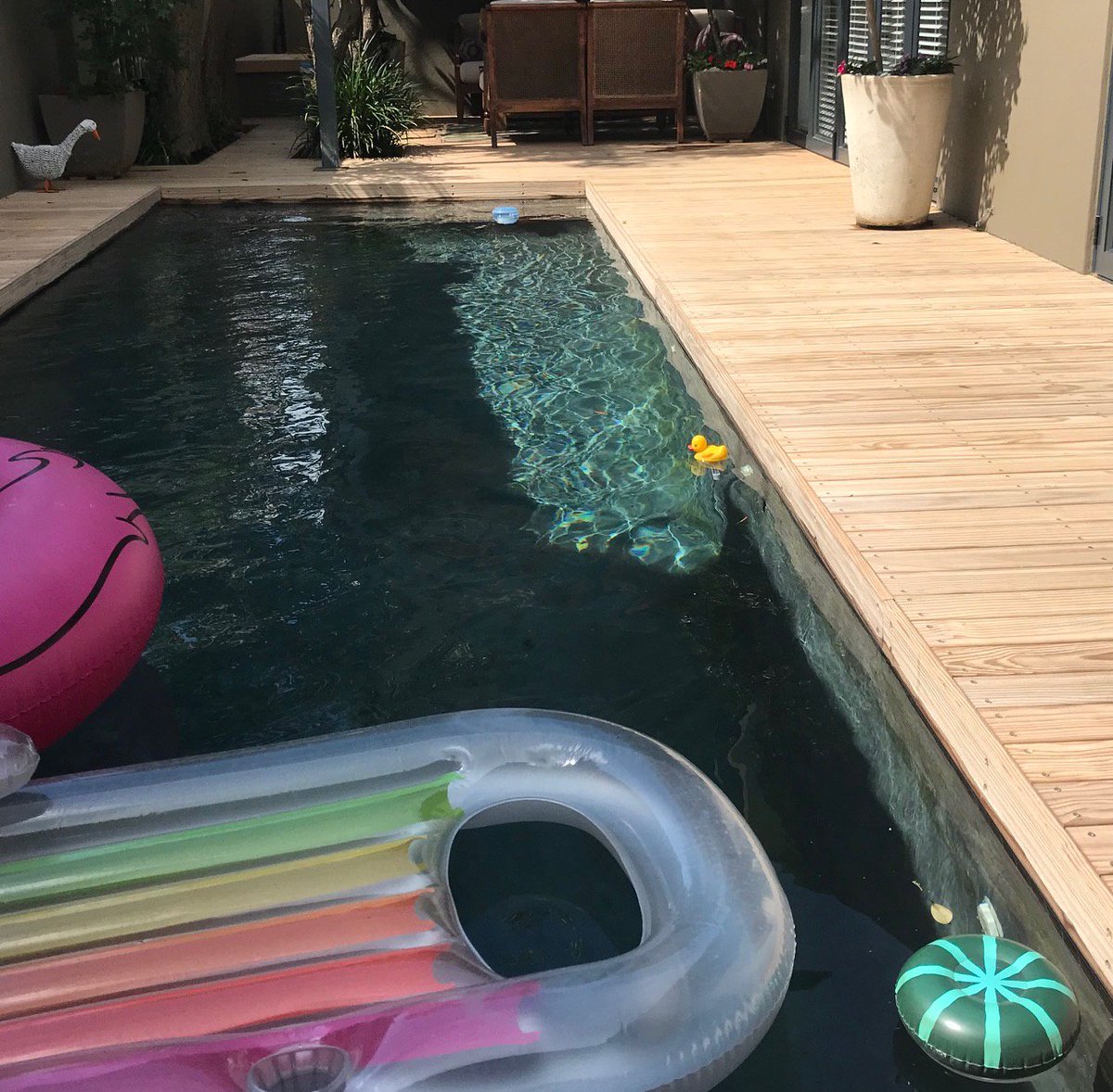 rhino_woodSA's tweet image. You can’t have an unhappy kid (or adult) when this is your pool! Surrounded by a Rhino Wood deck, it’s cool underfoot and super low maintenance. Read more here:
#poolsurrounds #residentialarchitect #timberdecking #modernexterior