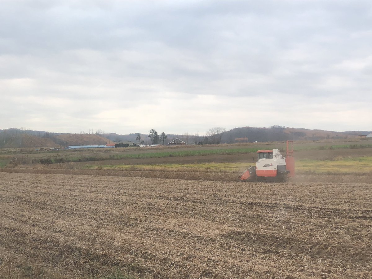 pythonYUKI's tweet image. お客さんの収穫待ち。あとちょっと、ガンバってください！
牛に豆に大変🐮お時間頂いて申し訳ないです