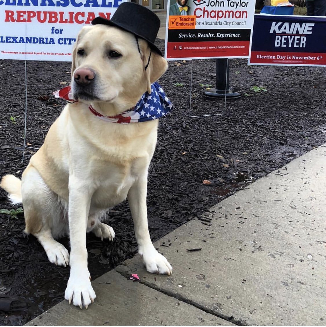 I’m happy to report Gadsden Boots won his reelection for mayor 🇺🇸🗳#ElectionDay2018