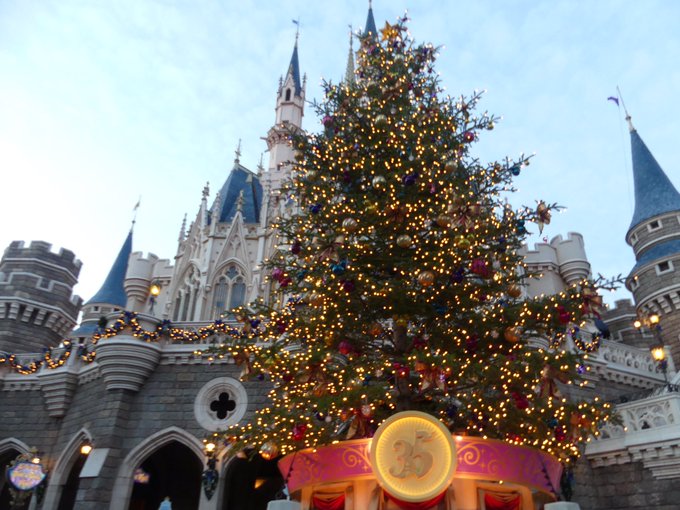 ディズニークリスマス混雑22年12月 ランド シー攻略法 レジャー坊や
