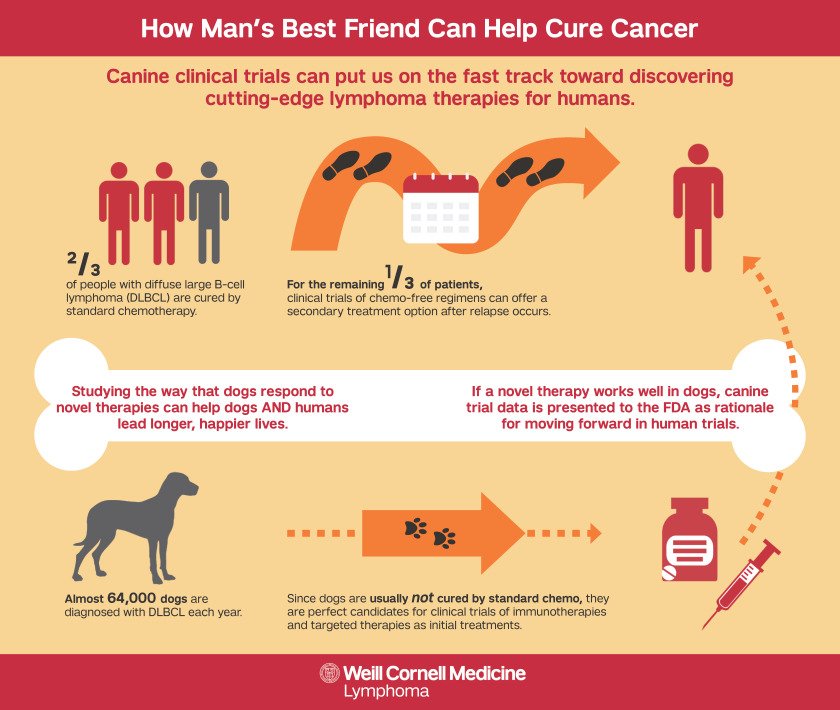 на русском. Type 1 diabetes. Small steps to success цитаты. The power of small steps. Can lead.