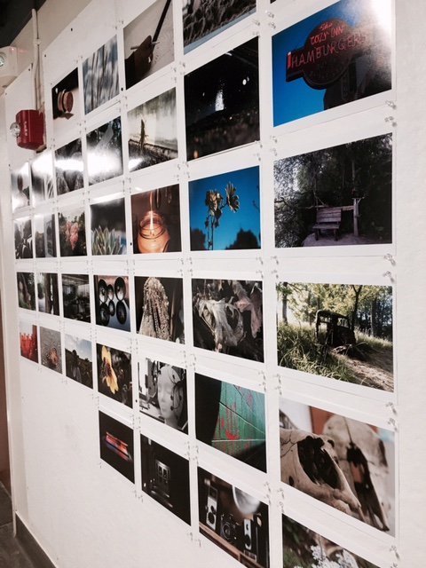 KStateArtDept's tweet photo. Intro to photo studio is working on their depth of field project. If you have an interest in photography, check our Art 395 for the spring semester. #KState #artdept #art #photo #ART395 #alwayslearningalwaysgrowing #photography #depthoffield #createsomethingneweveryday #joinus https://t.co/2LBB29G7qs