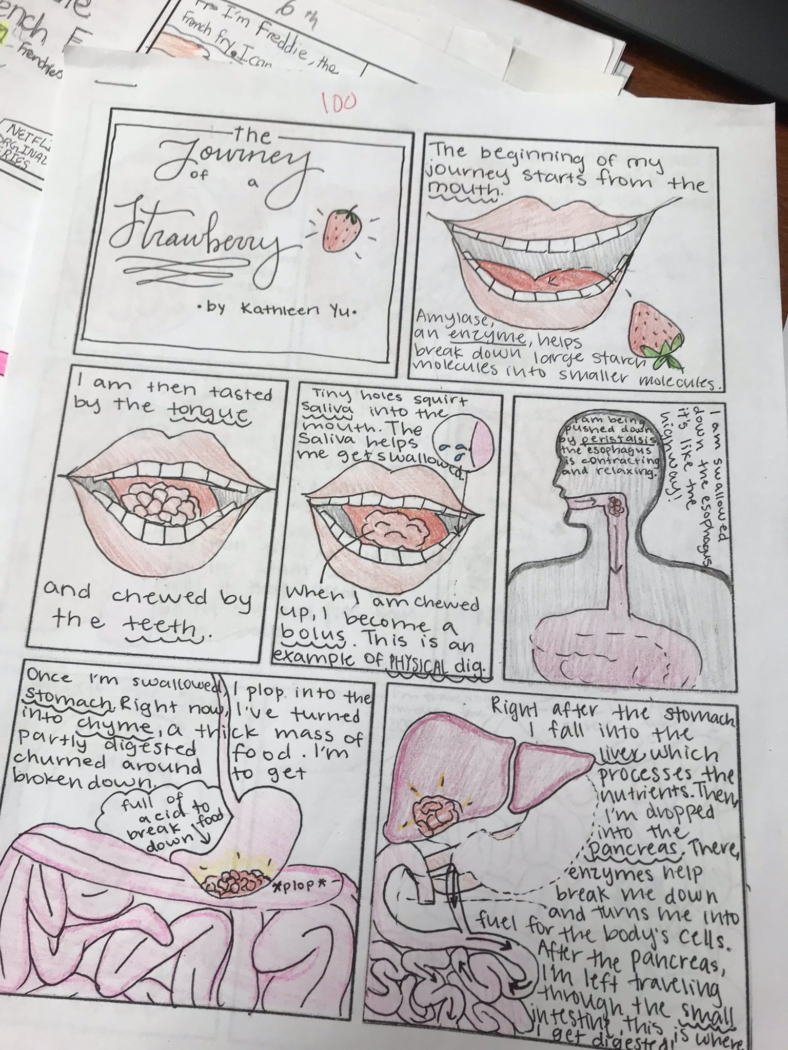 Comic Strip Of Digestive System - kyekxp6