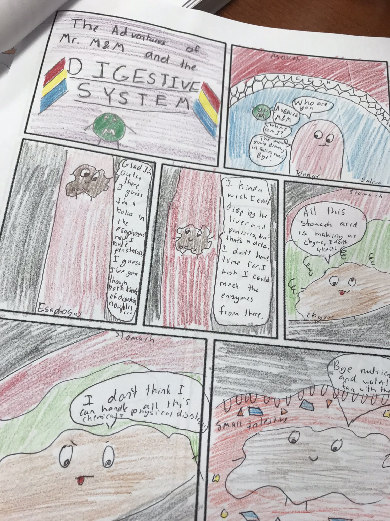 Comic Strip Of Digestive System - fmep779