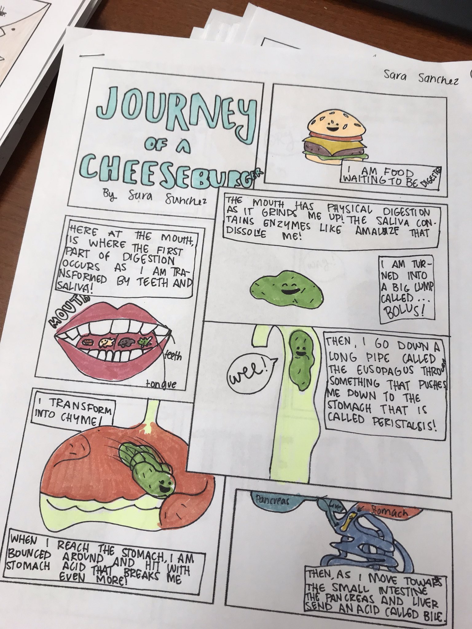 Comic Strip Of Digestive System - hnnkp6b