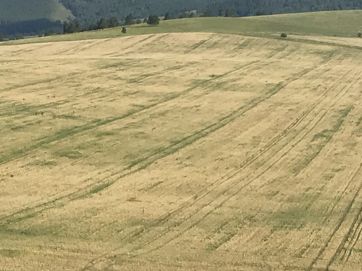 Энэ жилийн ургац хураалт дууслаа. Эрс тэс цаг агаартай тун бэрх намар байлаа. Хөрвүүлээд тооцвол 66 сая таваг цуйвантай тэнцхүйц тариа ногоо тарьж ургууллаа. Хэдүүлээ хүнсээ өөрсдөө хийдэг байхад бусдынх нь учир аяндаа олдох байх аа. 🍝