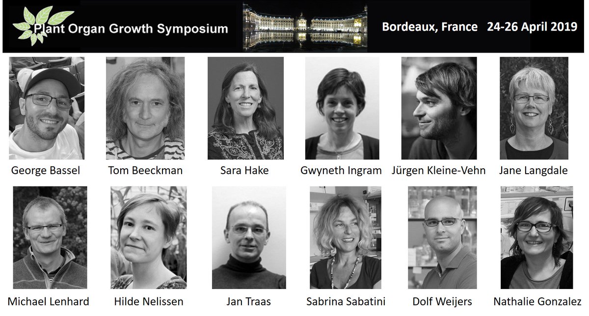 Plant Organ Growth symposium - Bordeaux, France - April 24-26th 2019
#POGS2019Bdx 

The website is ready and Registration is now open! 

symposium.inra.fr/pogs2019

Please retweet!

@janelangdale, <a href="/HildeNelissen/">Hilde Nelissen</a> ,<a href="/KleineVehnLab/">Kleine-Vehn Lab</a> , <a href="/george_bassel/">Bassel George</a>, @dolfweijers