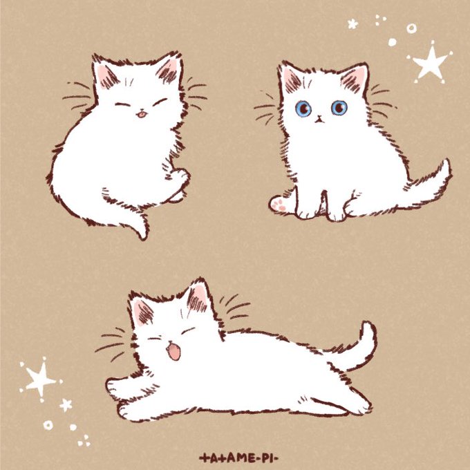 「動物 白い猫」のTwitter画像/イラスト(古い順)