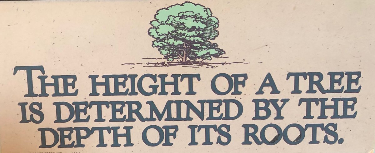 OCPioneerFball's tweet photo. I saw this artwork in our school today and for the first time I really looked at it and read it. The message seems very fitting for our second playoff week. #winthedown #1-0 #BlazeTheTrail https://t.co/ohNerTxbKv