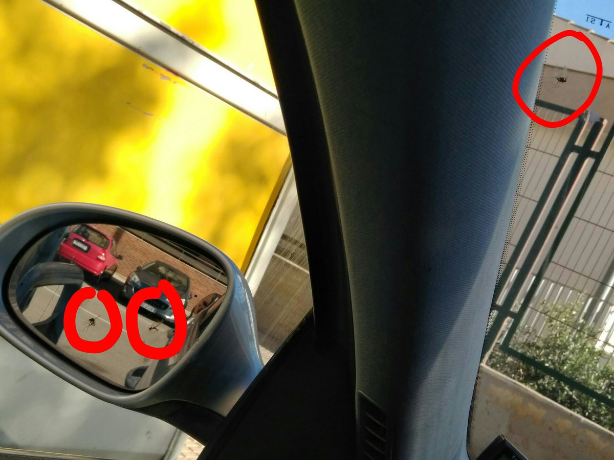 1, 2 i 3 mosquits, i la Conselleria de Sanitat assegura que no hi ha plaga, inadmissible !!! Per això hem demanat una reunió amb el president de la Generalitat Ximo Puig