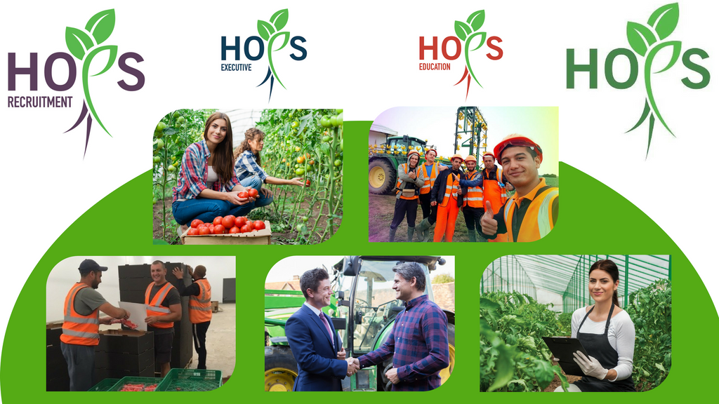 Hopsls's tweet photo. Find out more about HOPS on our YouTube channel!
https://t.co/O29oO08CFa https://t.co/fUyBnlC1A3